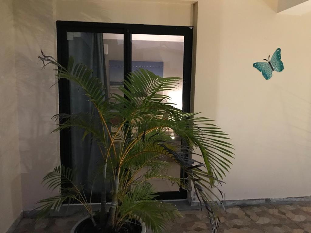 Nicole Residence Avec Piscine Chauffee & Jacuzzi Saint-André Dış mekan fotoğraf